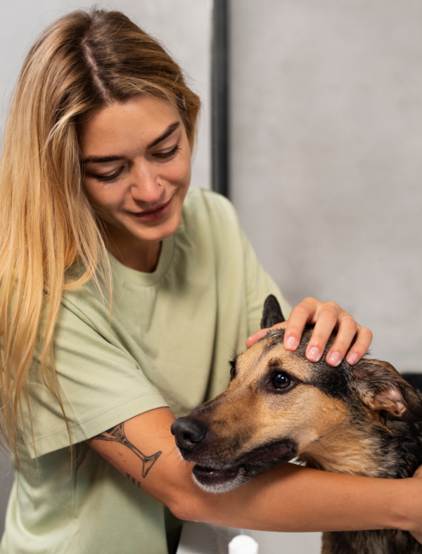 Dog Image 5